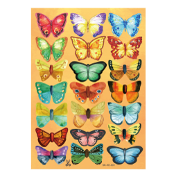 Colored Butterflies